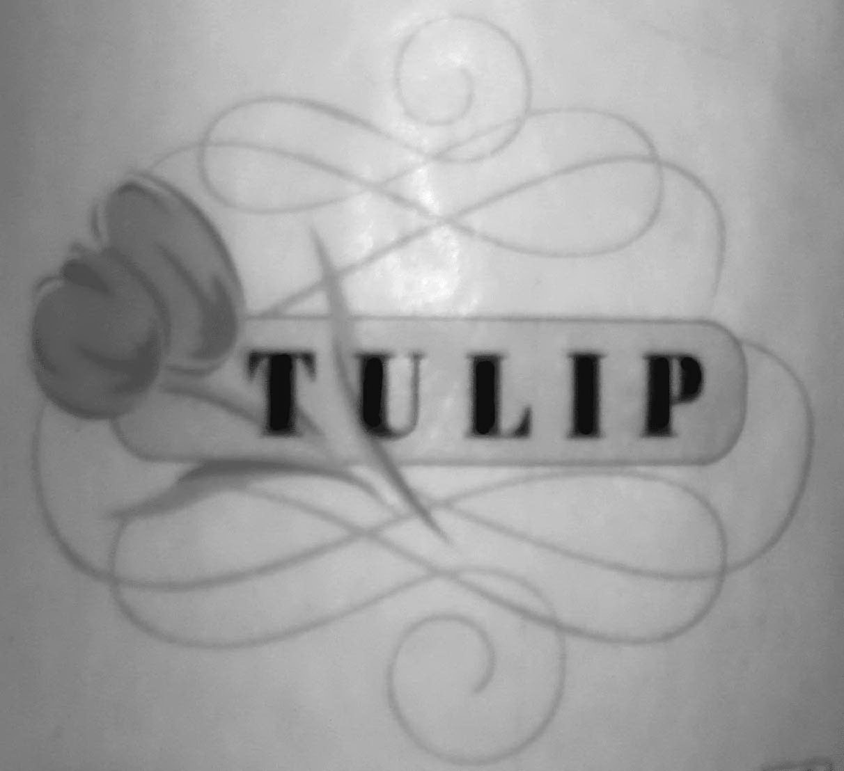 Trademark Logo TULIP