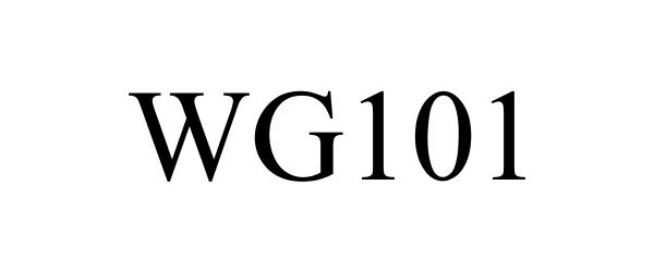  WG101