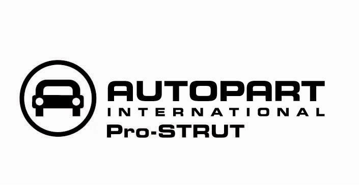  AUTOPART INTERNATIONAL PRO-STRUT