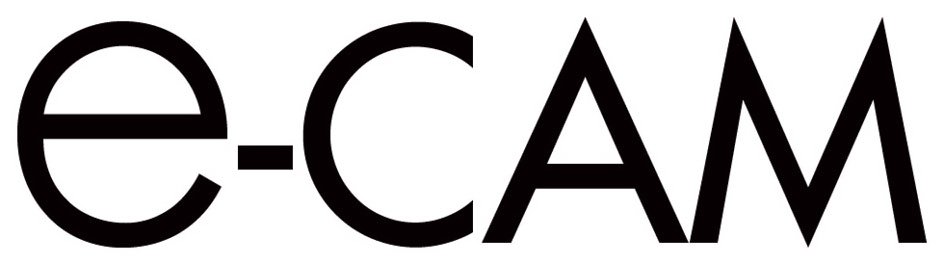 Trademark Logo E-CAM