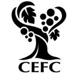 Trademark Logo CEFC