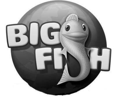 Trademark Logo BIG FISH