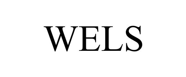 Trademark Logo WELS
