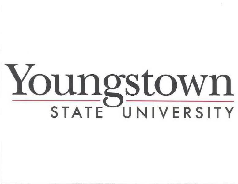  YOUNGSTOWN STATE UNIVERSITY