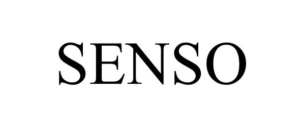 Trademark Logo SENSO