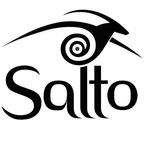 Trademark Logo SALTO
