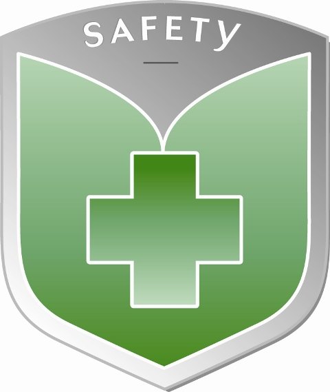 Trademark Logo SAFETY