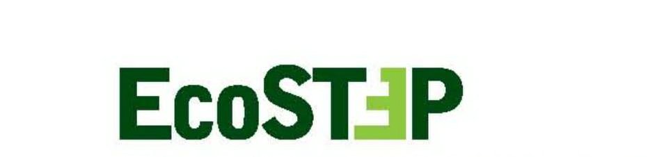 Trademark Logo ECOSTEP