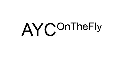  AYC ONTHEFLY