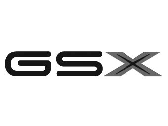 Trademark Logo GSX