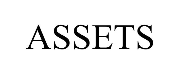 Trademark Logo ASSETS