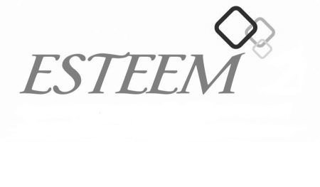 Trademark Logo ESTEEM