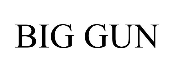 Trademark Logo BIG GUN