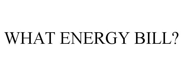  WHAT ENERGY BILL?