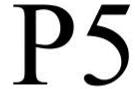 Trademark Logo P5