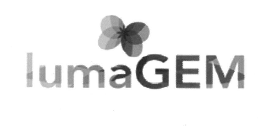 Trademark Logo LUMAGEM