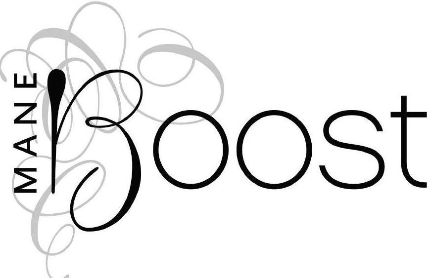 Trademark Logo MANE BOOST