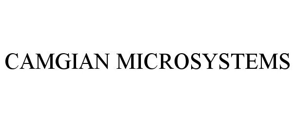  CAMGIAN MICROSYSTEMS