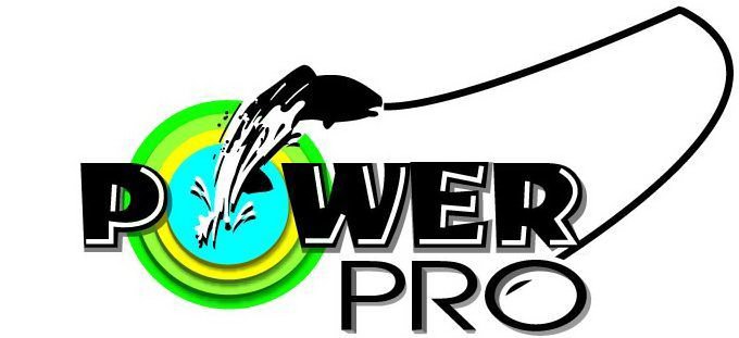 Trademark Logo POWER PRO