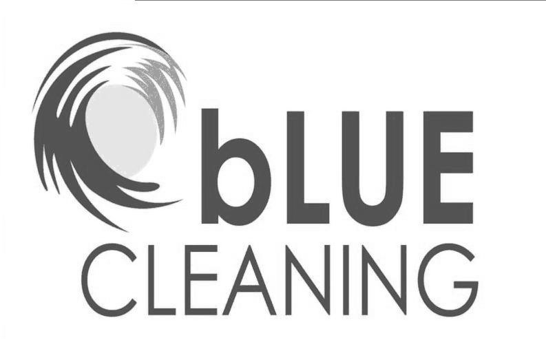  BLUE CLEANING