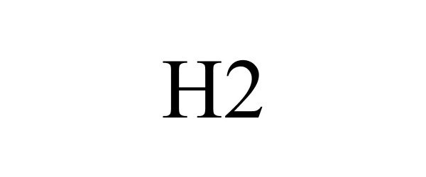 Trademark Logo H2