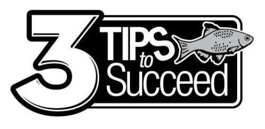  3 TIPS TO SUCCEED