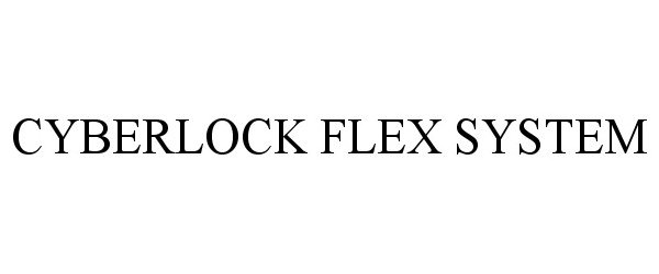  CYBERLOCK FLEX SYSTEM