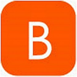 Trademark Logo B