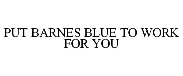  PUT BARNES BLUE TO WORK FOR YOU