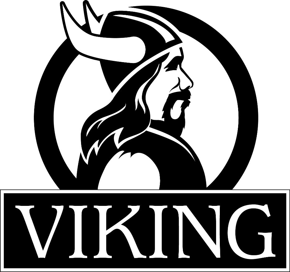  VIKING