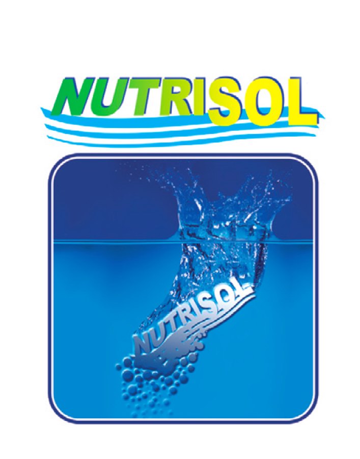 Trademark Logo NUTRISOL NUTRISOL
