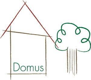 Trademark Logo DOMUS