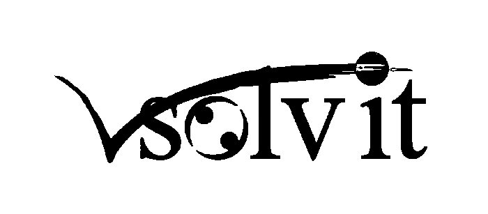 Trademark Logo VSOLVIT