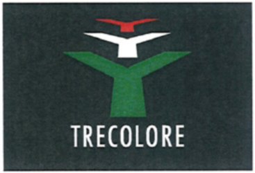 Trademark Logo YYY TRECOLORE