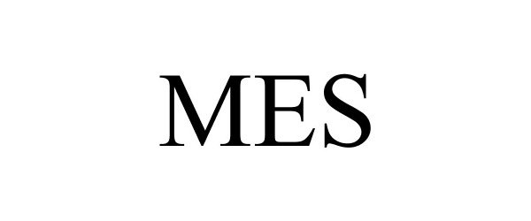 Trademark Logo MES