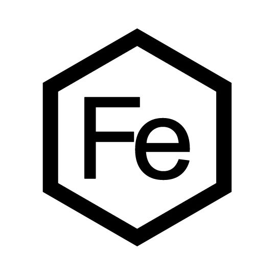 Trademark Logo FE