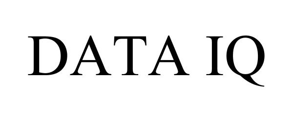 Trademark Logo DATA IQ