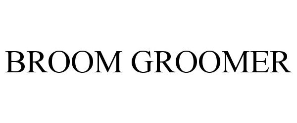 Trademark Logo BROOM GROOMER