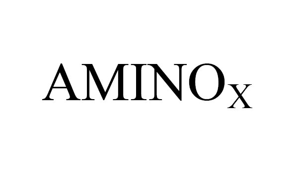  AMINOX