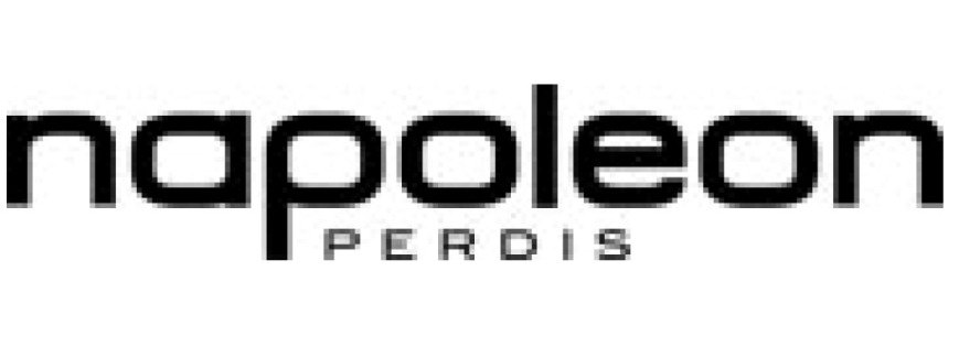 Trademark Logo NAPOLEON PERDIS