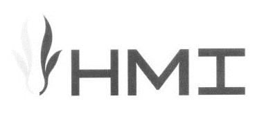 Trademark Logo HMI