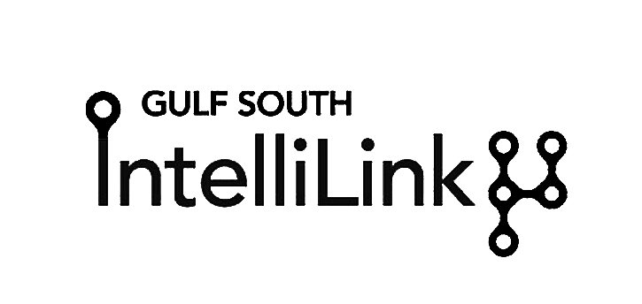  GULF SOUTH INTELLILINK