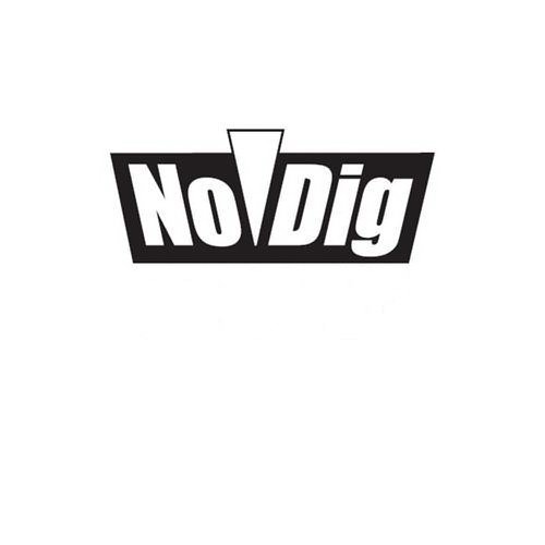 Trademark Logo NO DIG