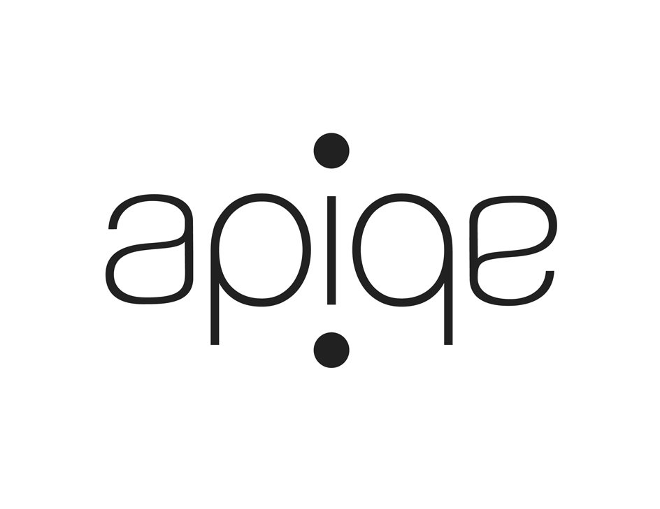 Trademark Logo APIQE