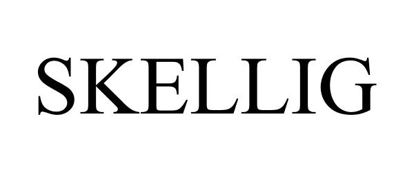 Trademark Logo SKELLIG