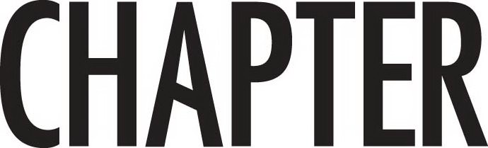 Trademark Logo CHAPTER