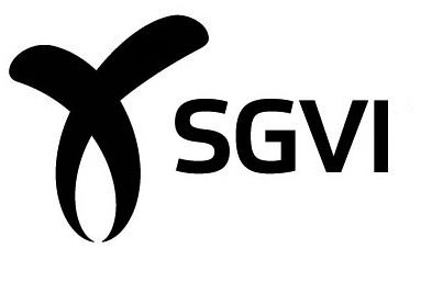Trademark Logo X SGVI