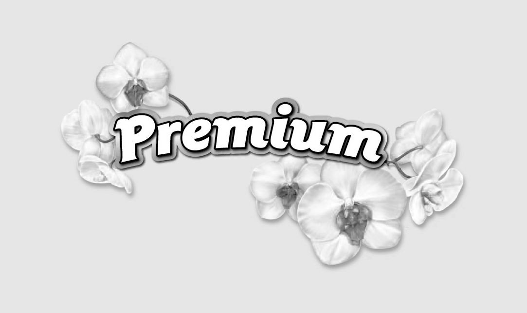 Trademark Logo PREMIUM
