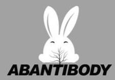 Trademark Logo ABANTIBODY