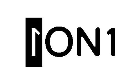 Trademark Logo 1ON1